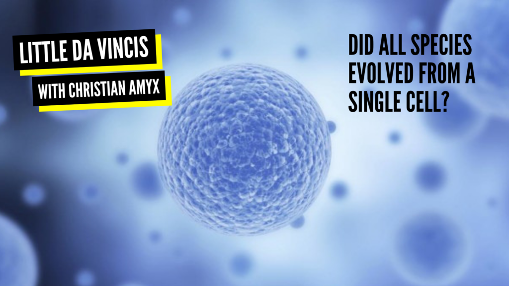 Did All Species Evolve From A Single Cell?
